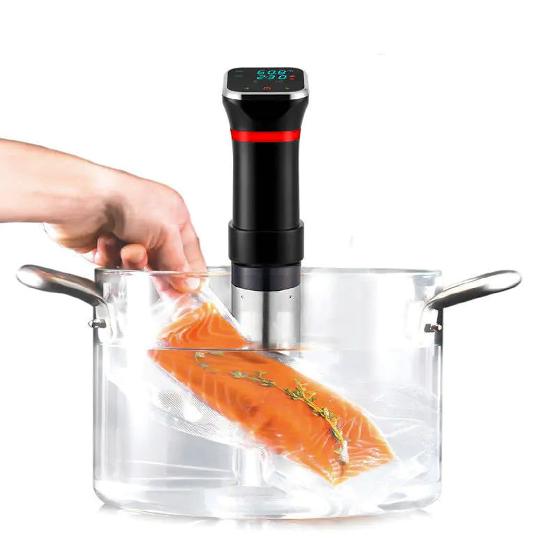 Precision Sous Vide Cooker for Steak and Defrosting