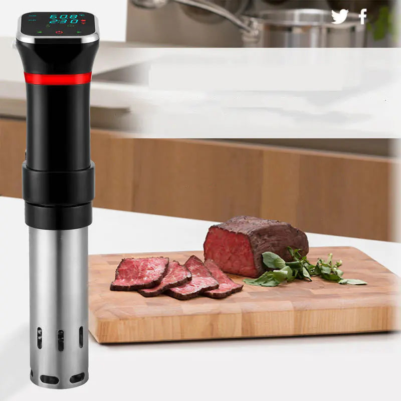 Precision Sous Vide Cooker for Steak and Defrosting